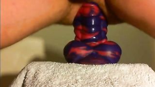 Amateur Anal Sex Toy Fun With Flint The Bad Dragon PornMega