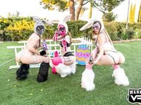 Evelyn Claire, Alex Blake, Paige Owens - Wankz VR