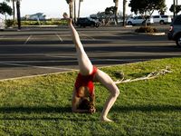 Kayla Coyote - Guavas N Lava (Zishy)