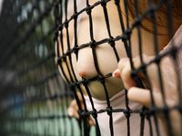 Lilo Mai - Dolphin Bodies (Zishy)