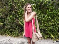 Addison Vodka - Bangbus