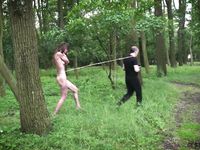 Adelle Unicorn - Subspace Land