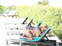 Galda Lou - Nothing But Curves | BabeSource.com