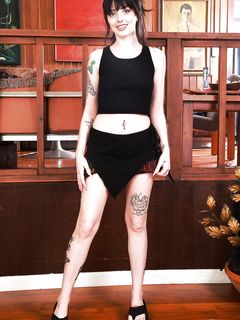 Kitty Cam - ATK Galleria