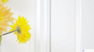 Mom and Daughter can squirt like hydrants - Alexis Fawx and Tiffany Watson - Mommy's Girl