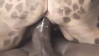 Huge, huge, huge black cock...