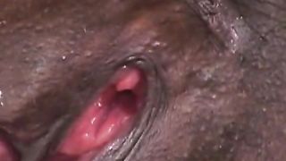 Ebony bitch gets ass stuffed with cock