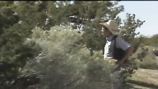 Backdoor Brides #2 The Honeymoon - 1986