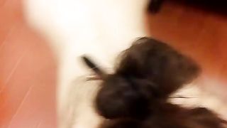 Training Slave Việt Nam - Training slave girl vietnamese