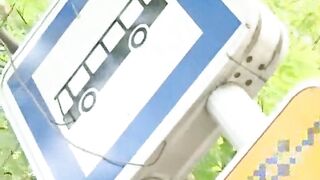 Fantasy Japanese Bus