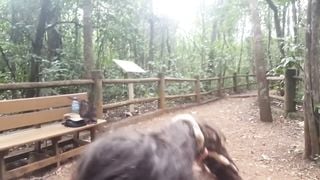 ORAL and FACIAL in a PUBLIC Park - ALMOST GET CAUGHT - Dread Hot