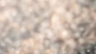 Ebony Bitches getting Freaky