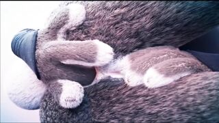 ZOOTOPIA TAKES COCKS EVERYWHERE. SHE LOVES IT.