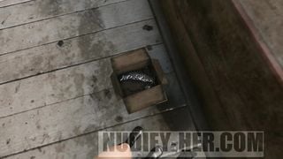 Breaking the Quiet (Part 2 BTQ No Horse Animopron)