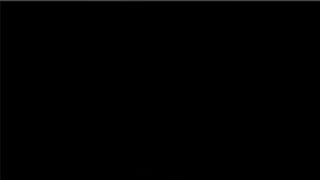 Horny Girls Collection (Furry/Yiff) - ANIMATED [fap Hero]