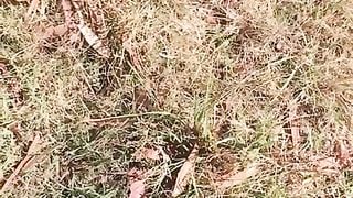 Roadside playtime. Couldn’t wait