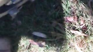 Roadside playtime. Couldn’t wait