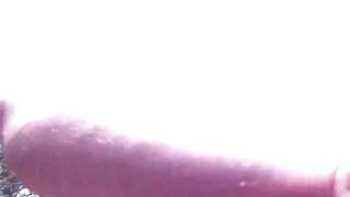 Sandrea in de duinen (dunes)