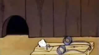 The real Tom and Jerry