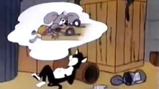 The real Tom and Jerry