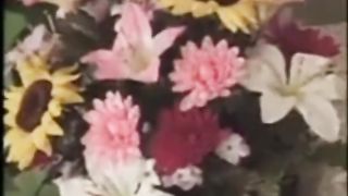 Ebony Pregnant fucked by white guy