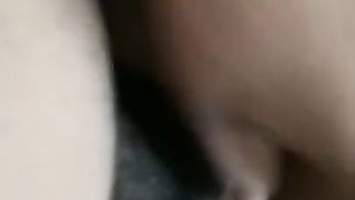 My Neighbor Gave me some Pussy