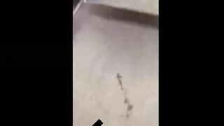 Chubby BBW MILF Rubbing her Pussy and Squirting