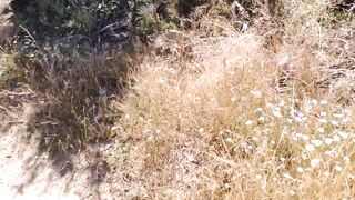 Hot Wife Exhibitionist Showing Ass Tits and Fucking in Public in the Mounta