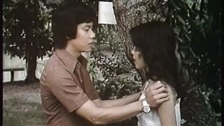 Chinese Fortune Cookies