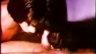 french vintage 20656