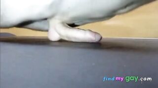 Pushups humping cum closeup