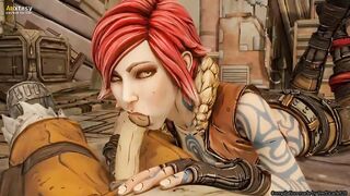 Amazing Borderlands Compilation with Sound 2020