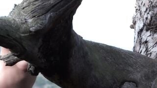 Game of Thrones has never been in such Danger, the Southern Witch follows them