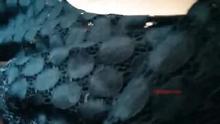 漂亮美女搭顺风车被迷