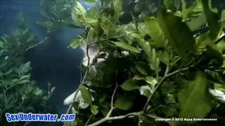 #59. Aquabella: Big Natural Breasts Bounce Weightlessly as Pussy Takes Fucking in Underwater Jungle