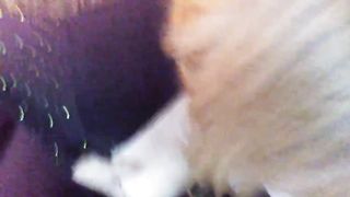 Blowjob and Facial in Busty Amateur American Granny from DateFree.eu