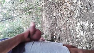 Cruising woods - Cruising nel bosco1