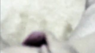 Free Melayu videos scandal aldynea sailey.com Videos - PornMEGA