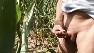 Summer, Sun, Corn & Wanking & Piss