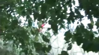 Cheating Wife Gets Fucked by a Stranger for Money in POV