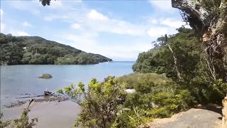 Forest Nyphm- Adventure island