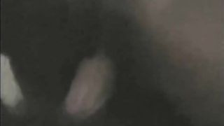 Colin Farrell And Nicole Narain Leaked Sextape