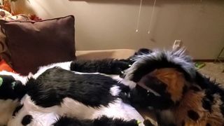 A special 8k twitter follower count video!