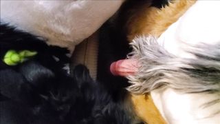 A special 8k twitter follower count video!