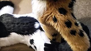 A special 8k twitter follower count video!