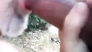 je suce une grosse queue dans les bois