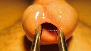 Urethral sounding and stretching with cumshot