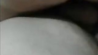 turkish alemci gencler