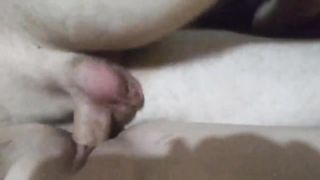 Tinder Date Cums 5 Times!!!