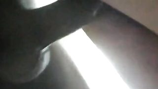 Dionysus & The Housekeeper